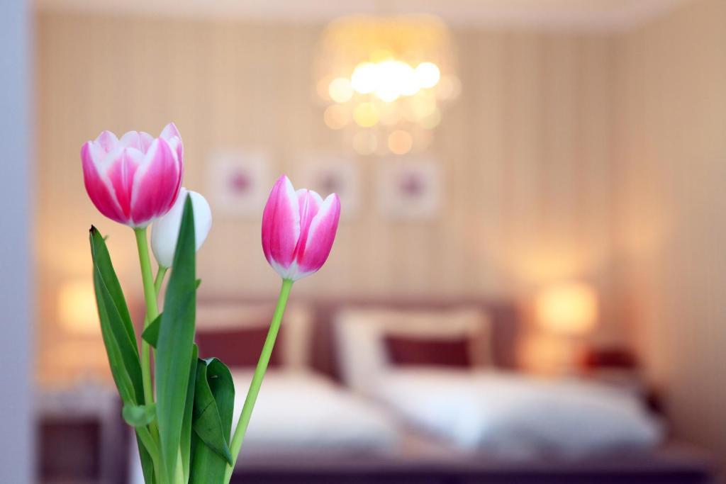 Hotel Krone Bad Ragaz Habitación foto